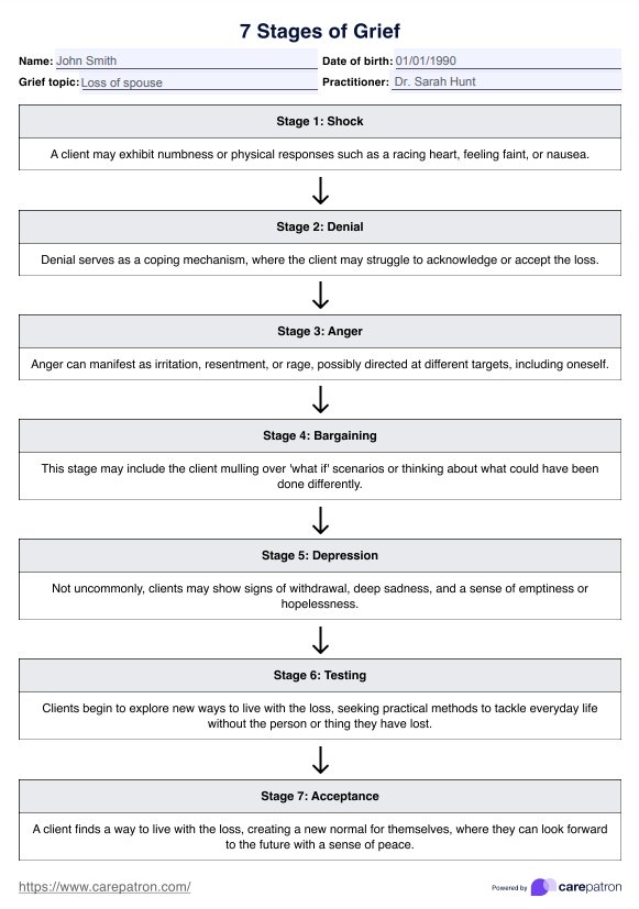 7 Stages of Grief PDF PDF Example