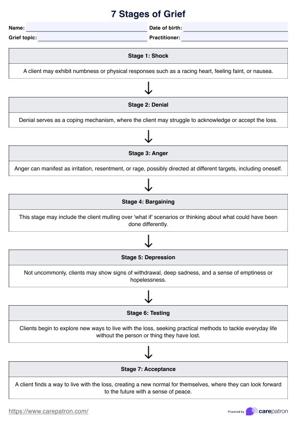 7 Stages of Grief PDF PDF Example