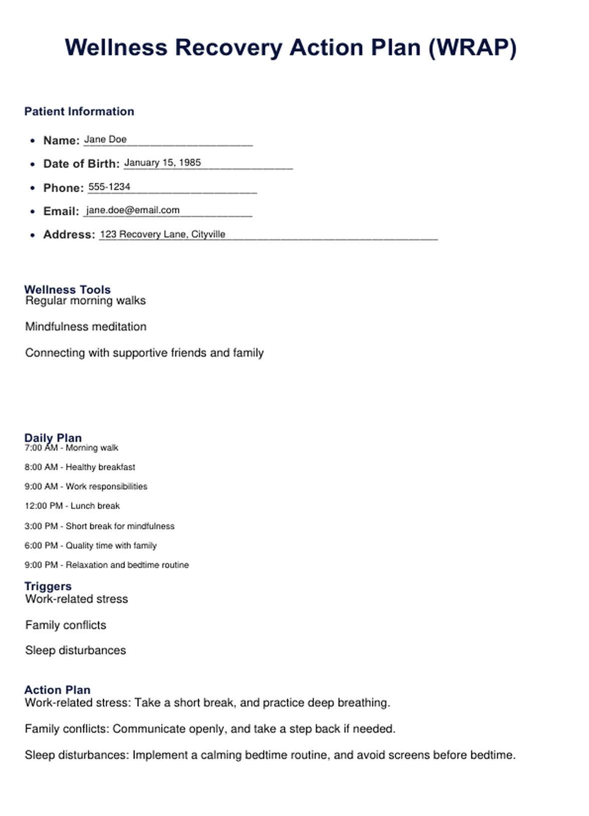 WRAP Plan PDF Example