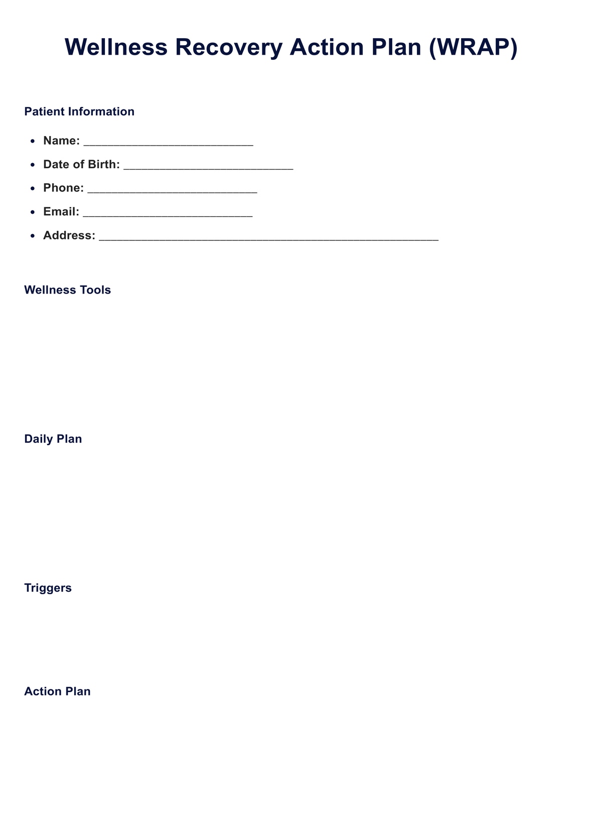 WRAP Plan PDF Example