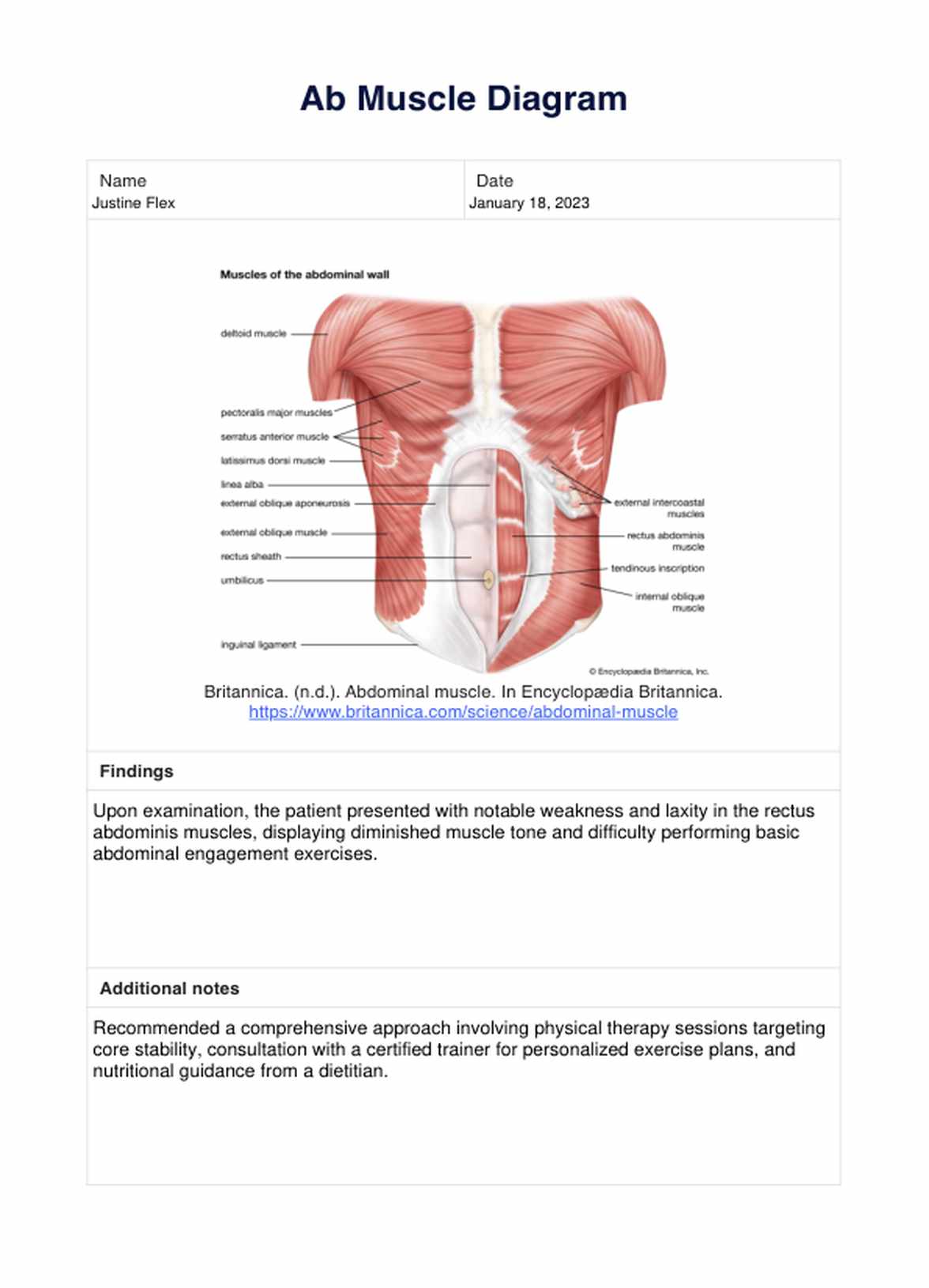 Ab Muscle Diagram PDF Example