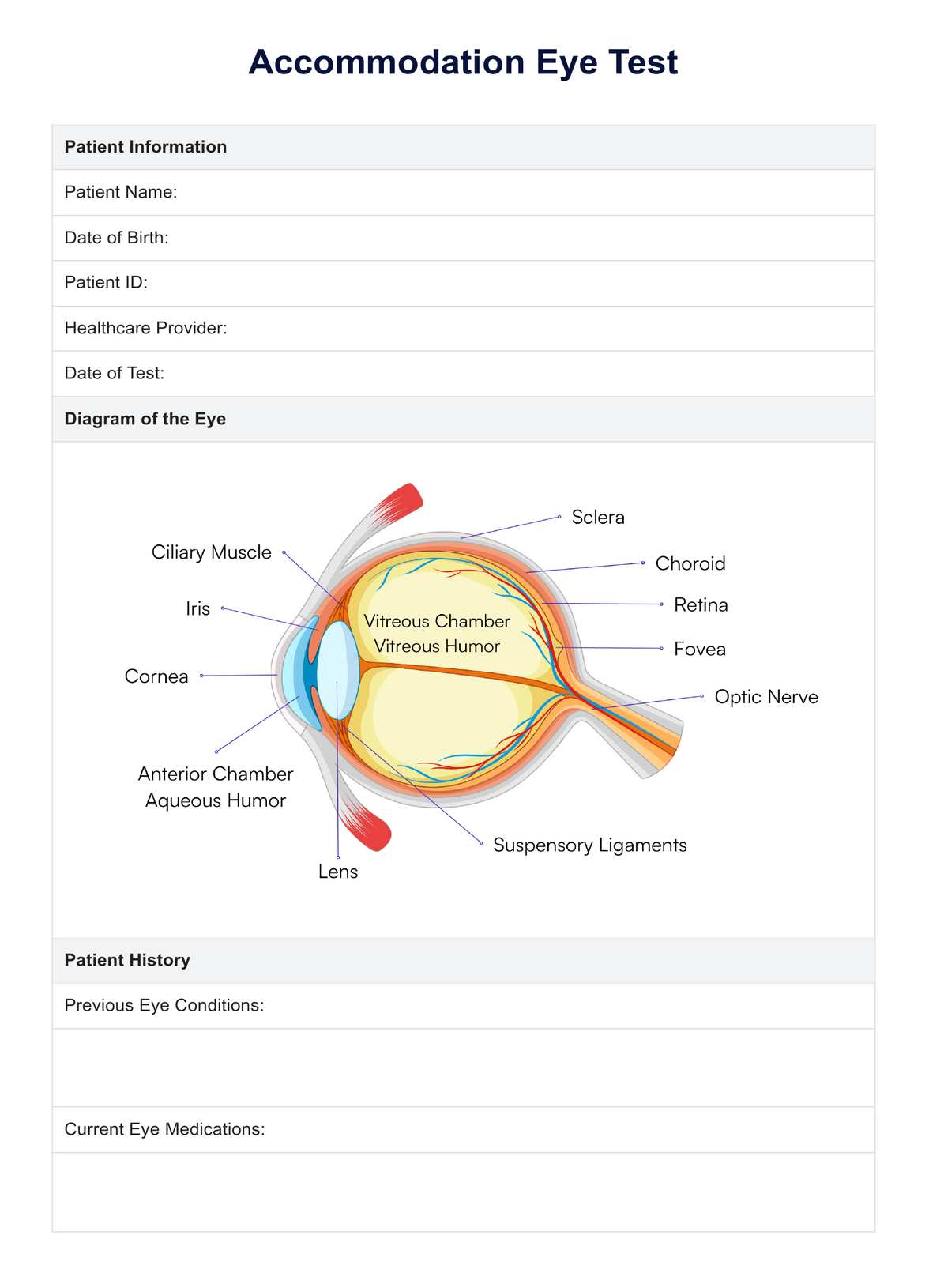 Accommodation Eye Test PDF Example