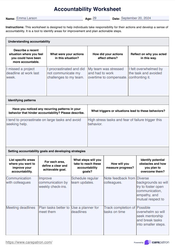 Accountability Worksheet PDF Example