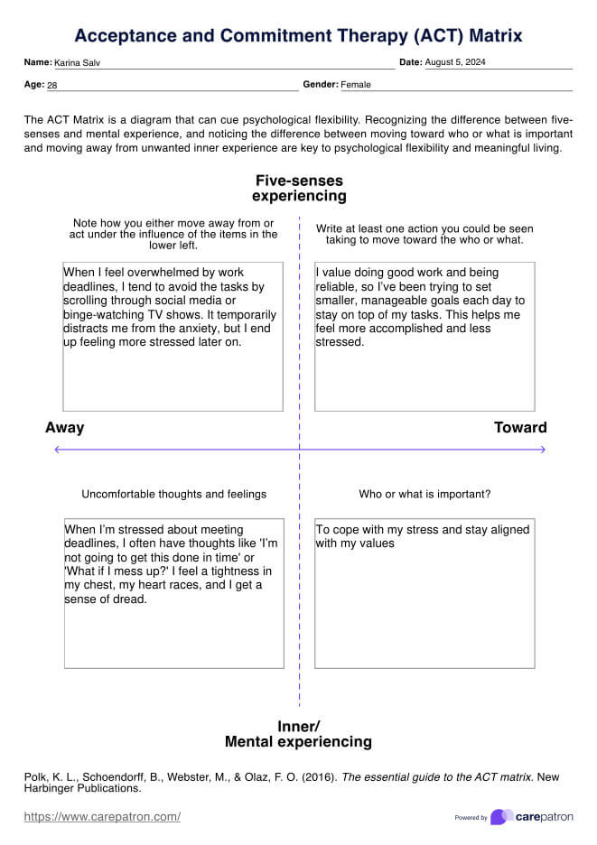 ACT Matrix Worksheet & Example | Free PDF Download