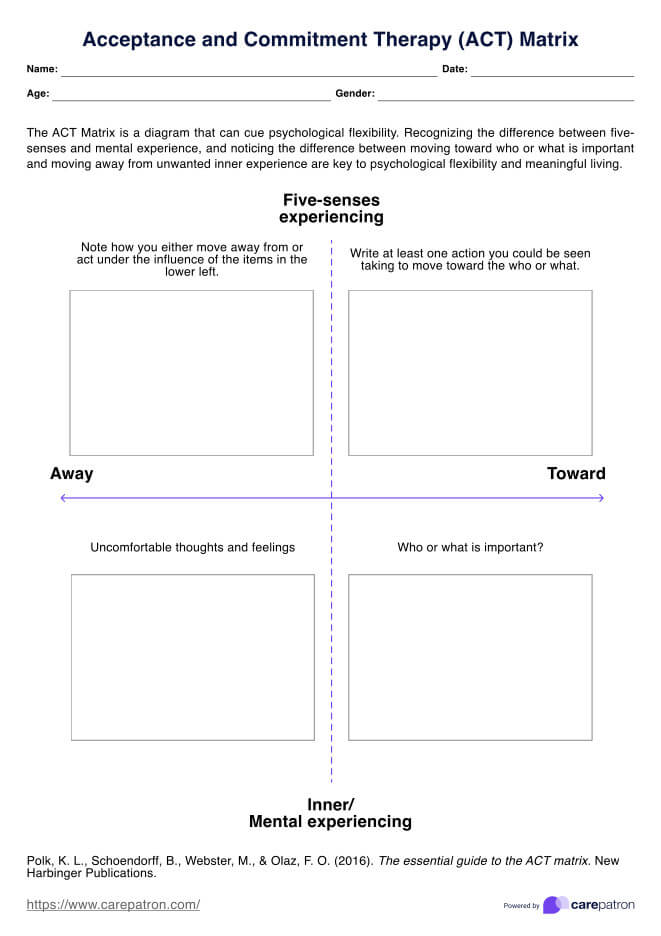 ACT Matrix PDF PDF Example