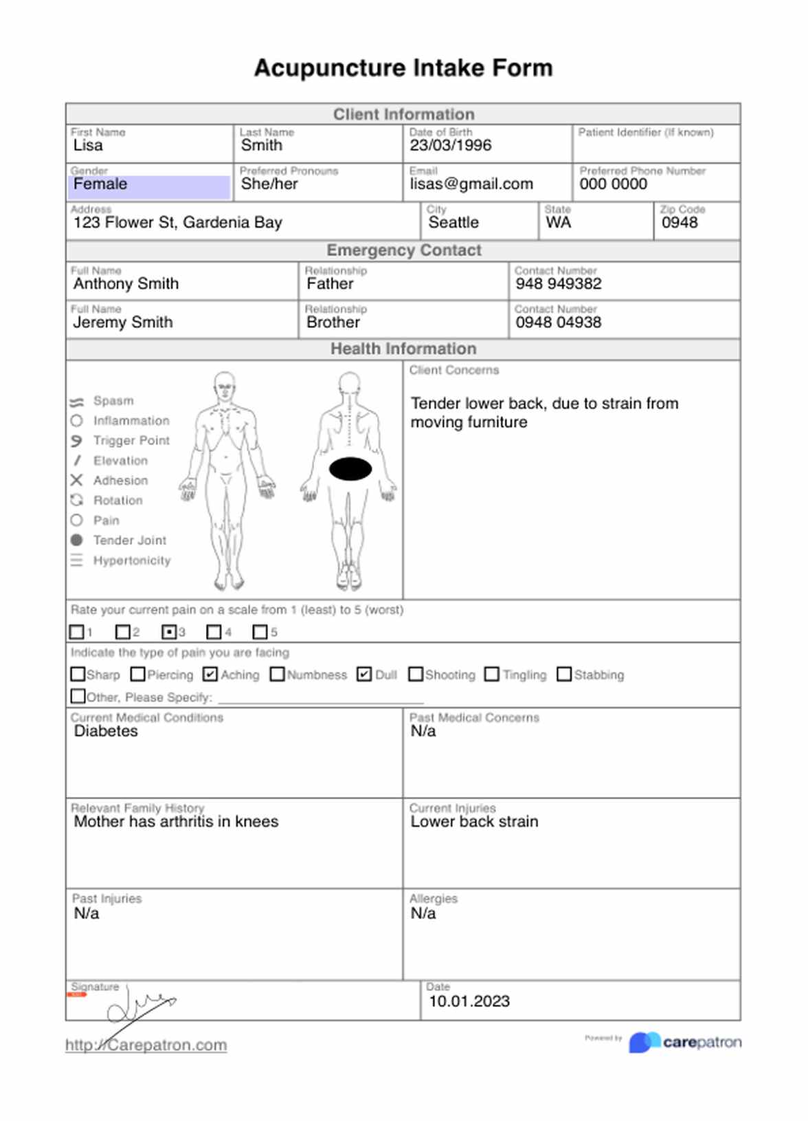 Acupuncture Intake Form PDF Example