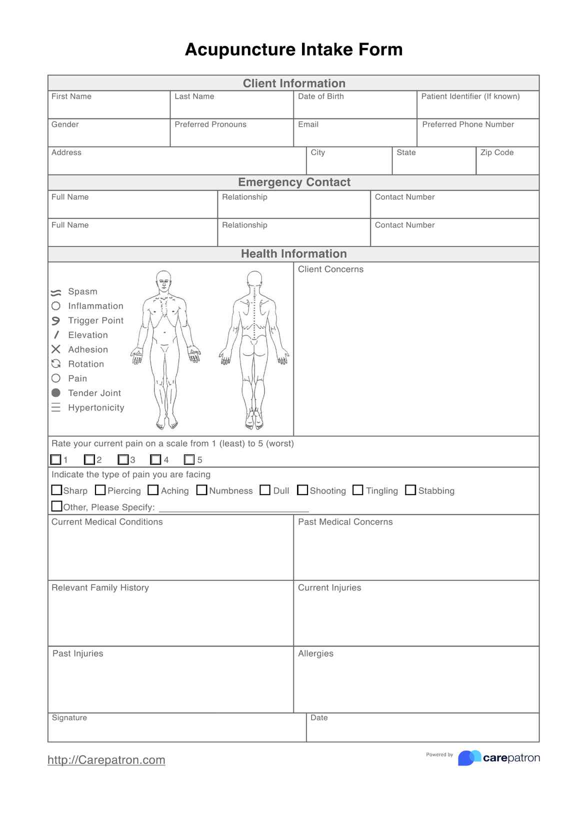 Acupuncture Intake Form PDF Example