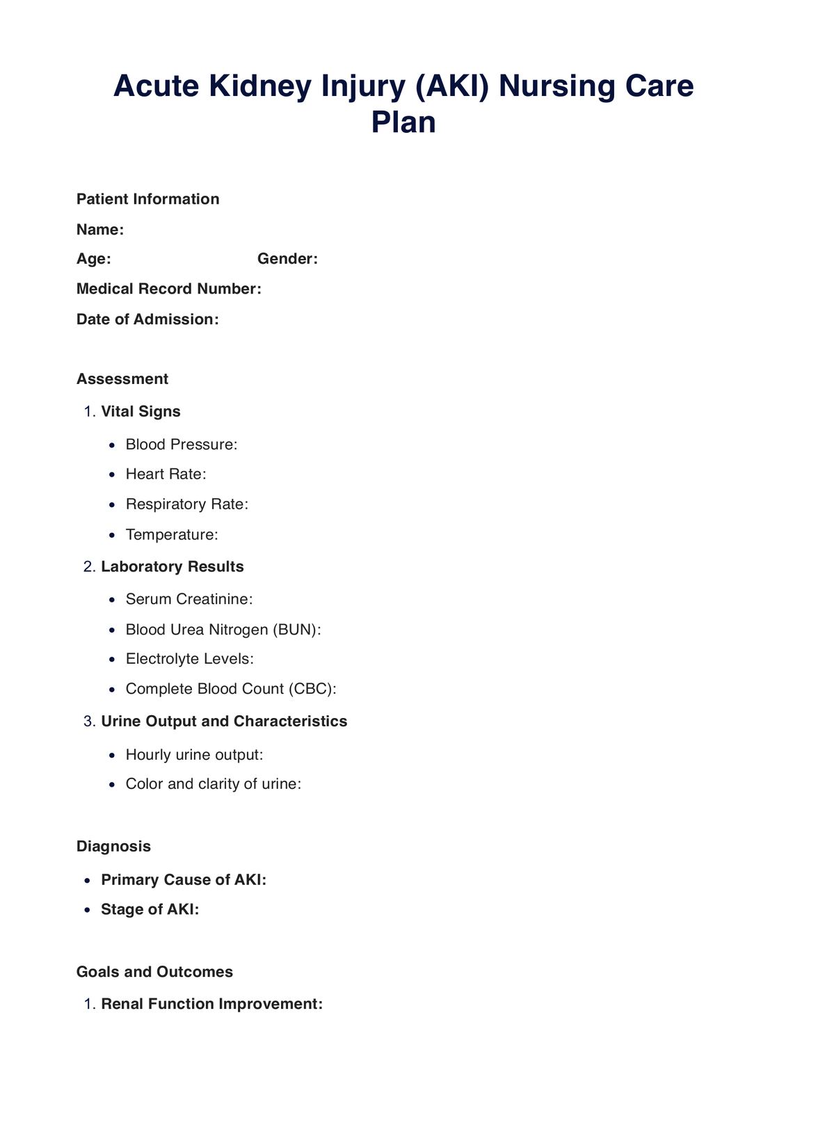 Acute Kidney Injury Nursing Care Plan PDF Example