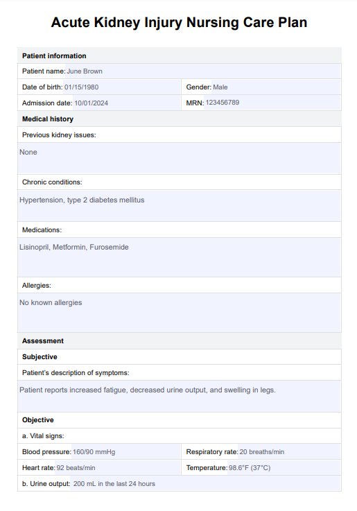 Acute Kidney Injury Nursing Care Plan PDF Example