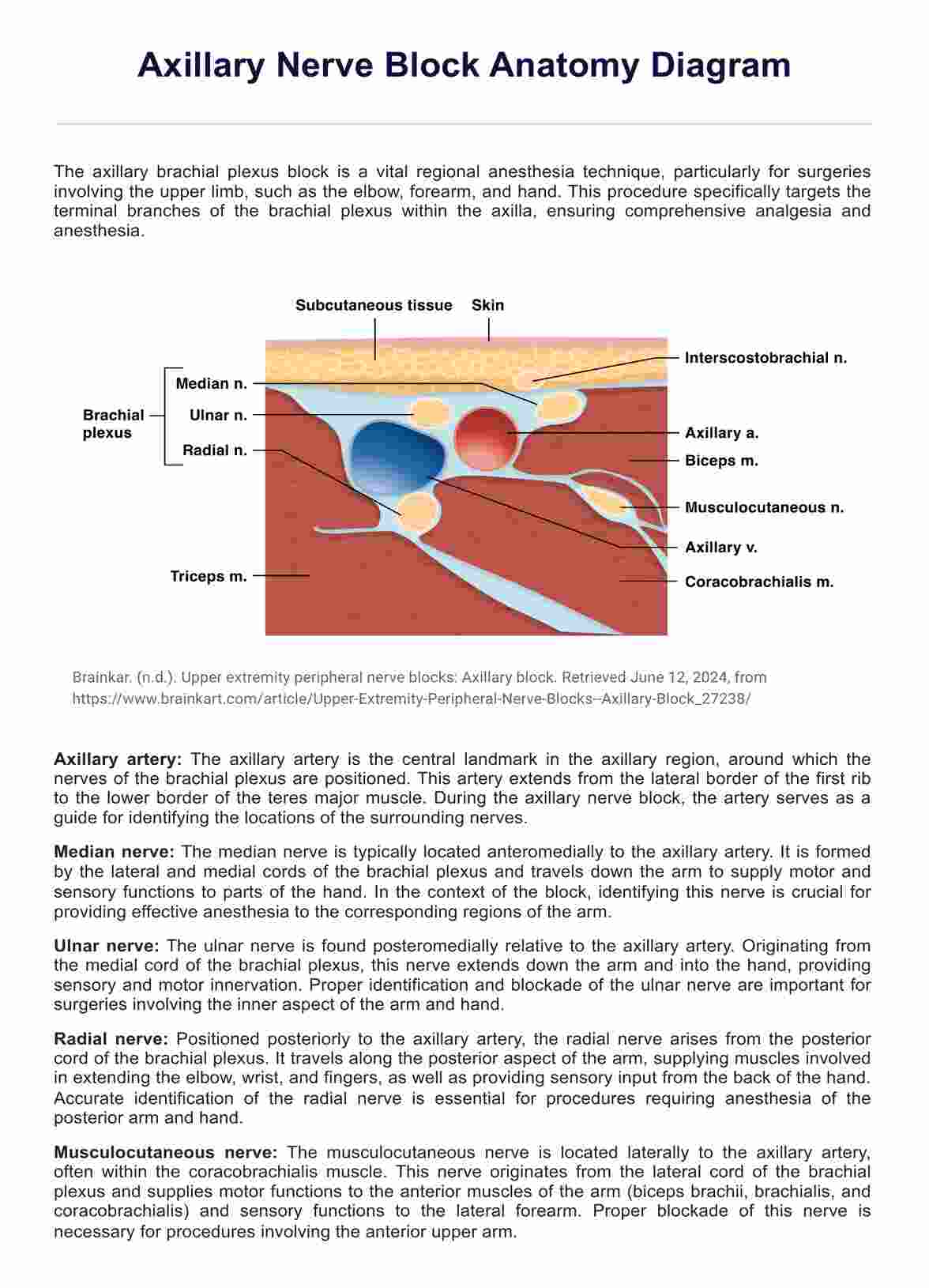 Diagrama de anatomía del bloqueo del nervio axilar PDF Example