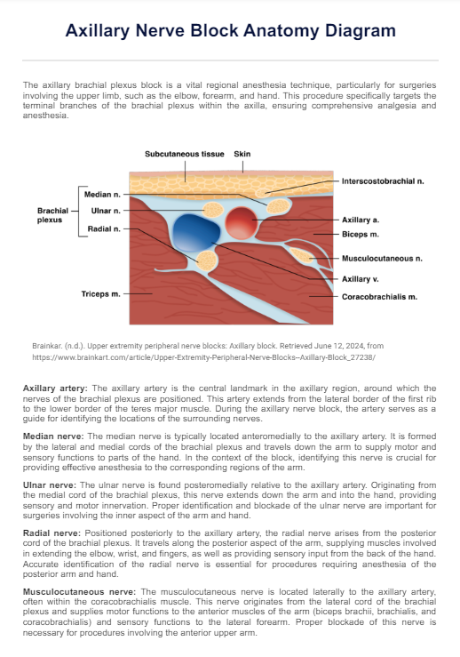 Axillary Nerve Block Anatomy Diagram PDF Example