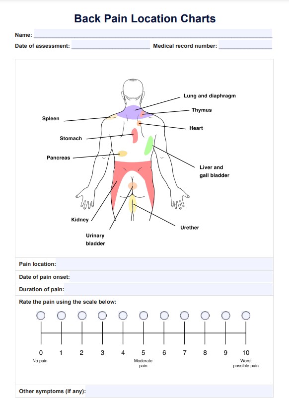 Wykresy lokalizacji bólu pleców PDF Example