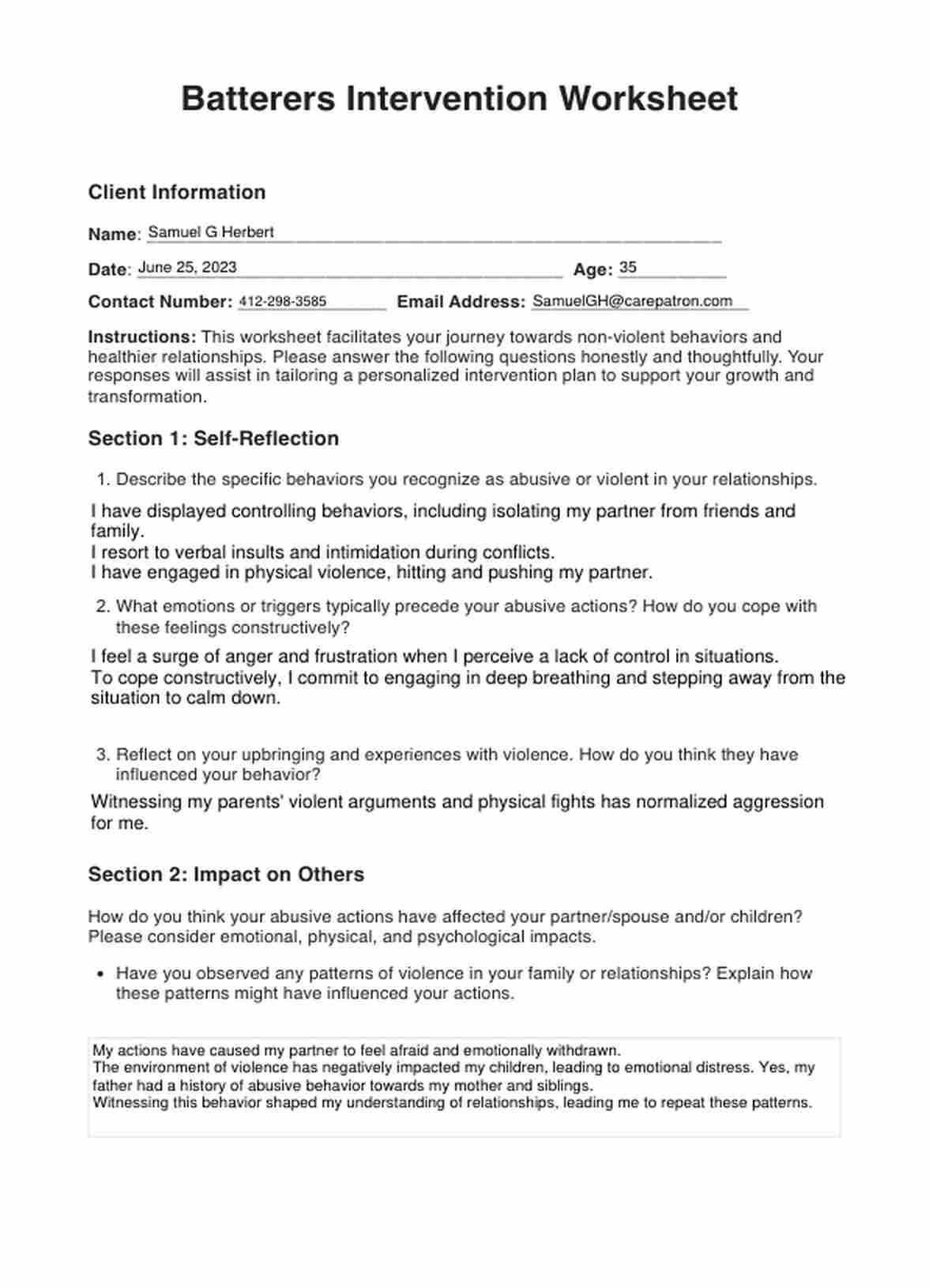 Batterers Intervention Worksheet PDF Example