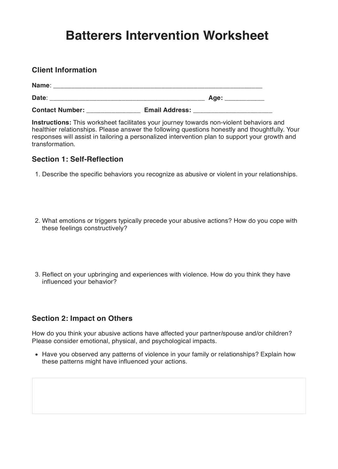 Batterers Intervention Worksheet PDF Example