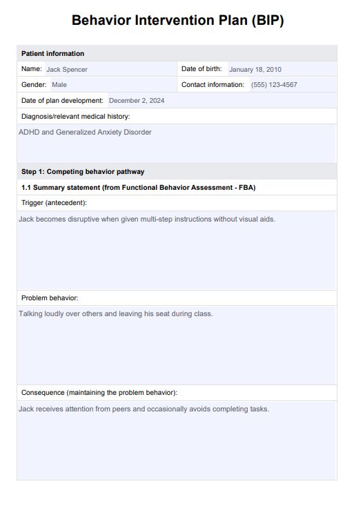 Behavior Intervention Plan PDF Example