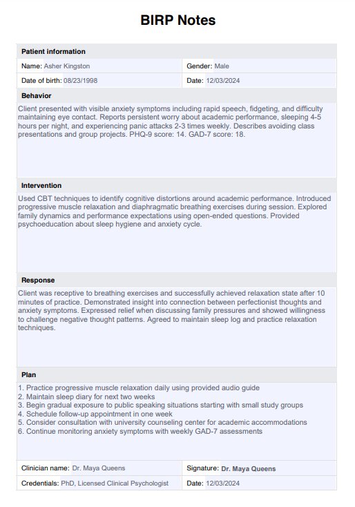 BIRP Notes Template PDF Example