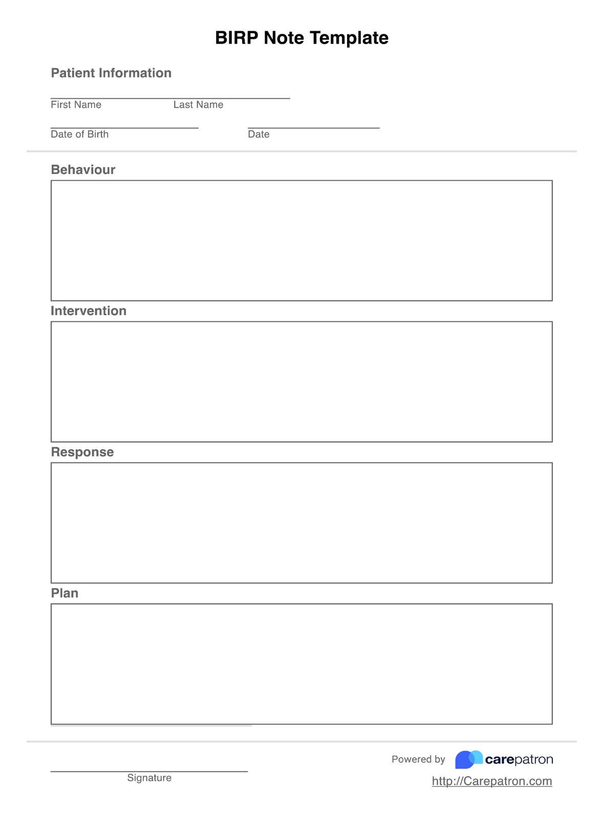BIRP Notes Template PDF Example