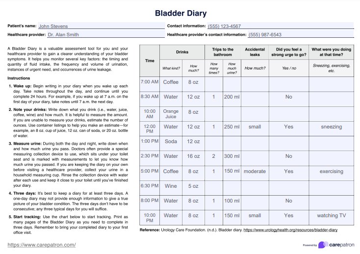 Plantilla de diario de vejiga PDF Example