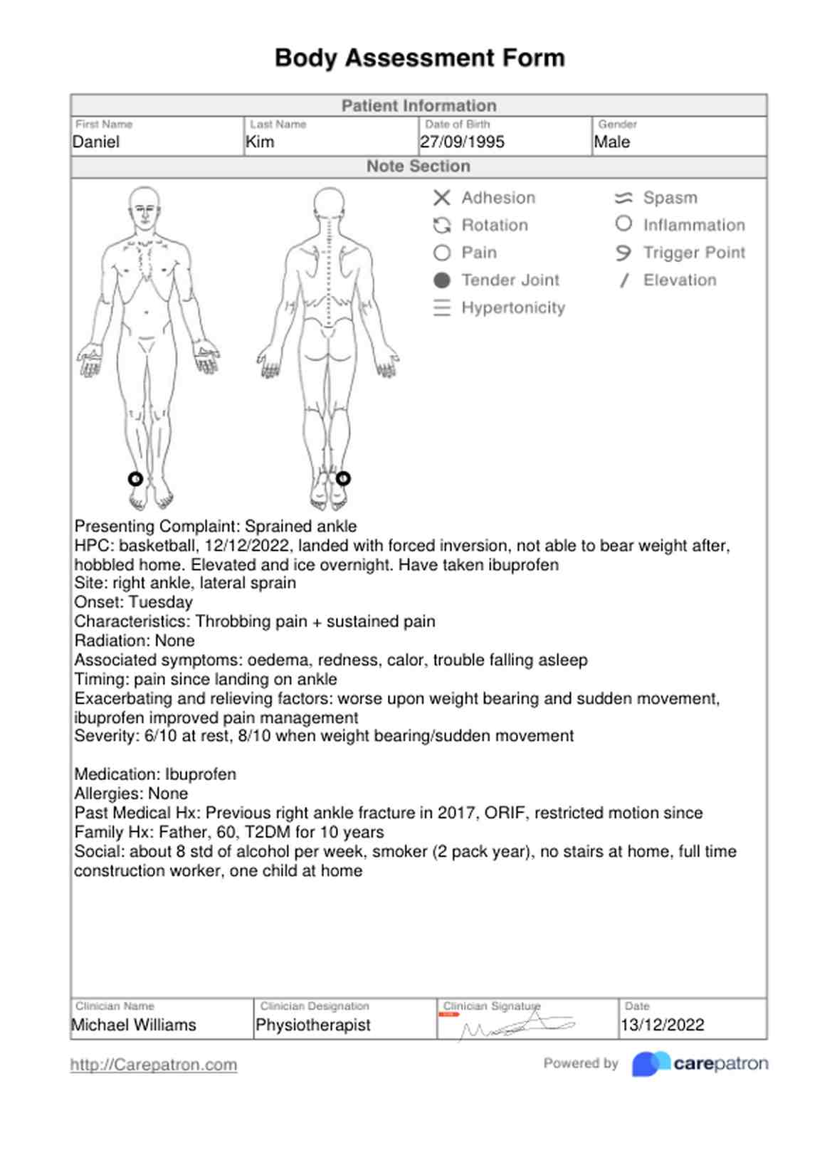 Body Assessment Form PDF Example