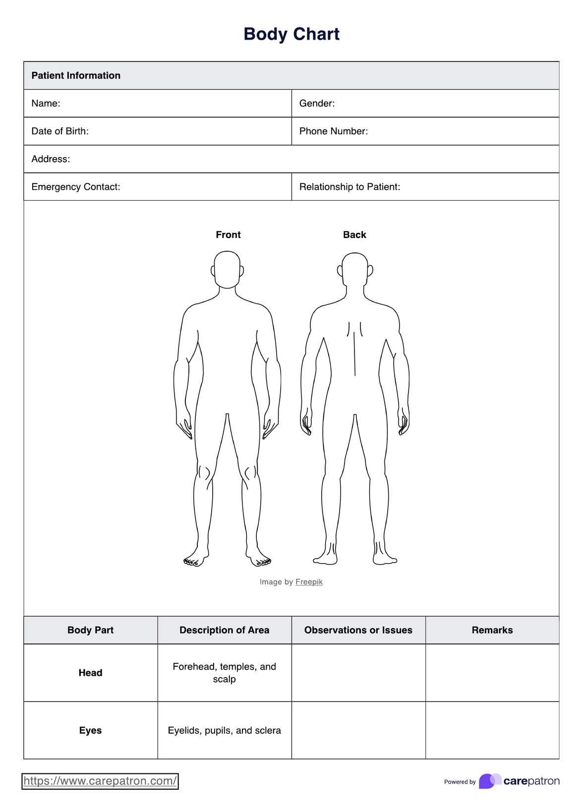 Body Chart PDF Example
