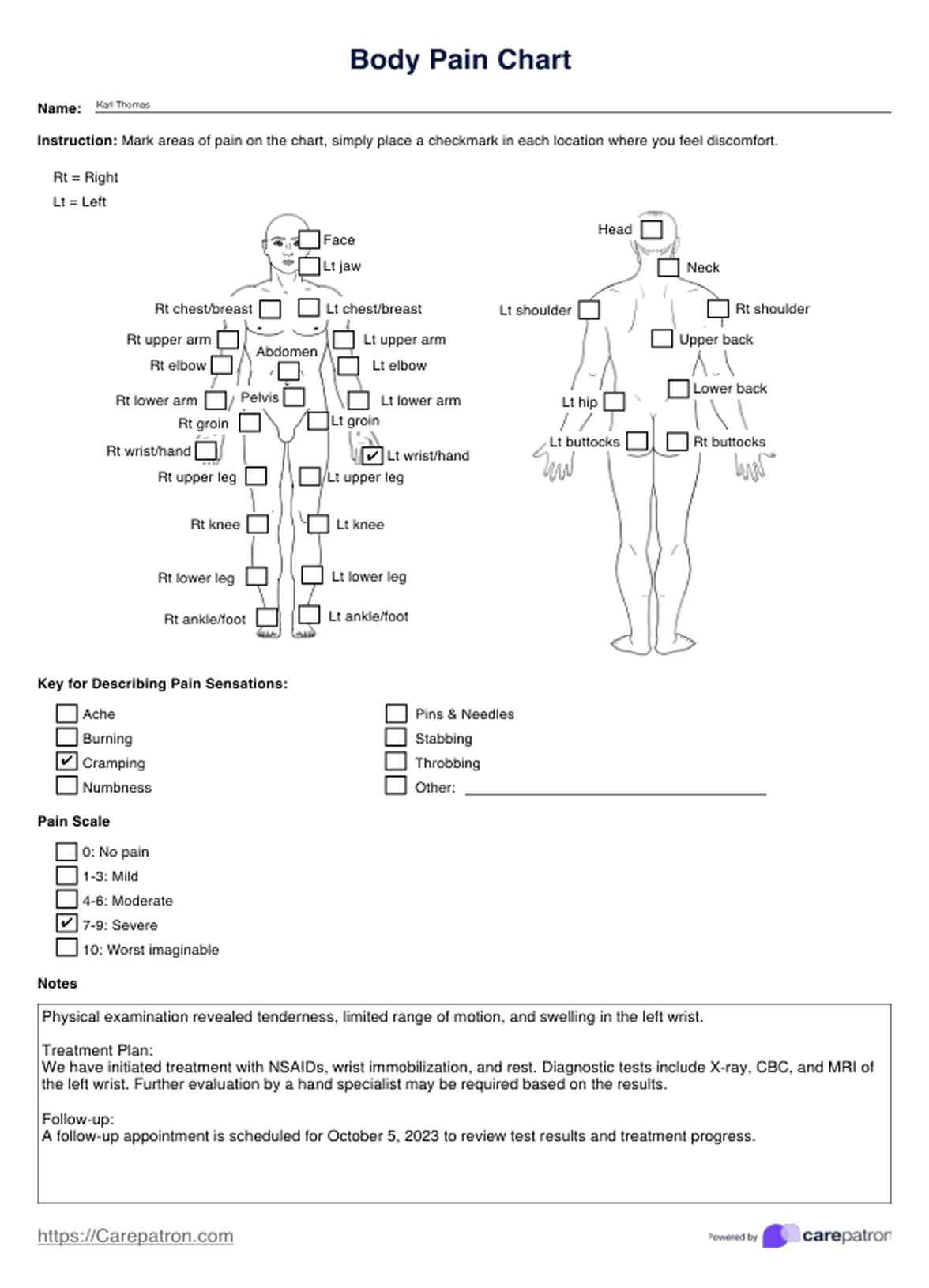 Body Pain Charts PDF Example
