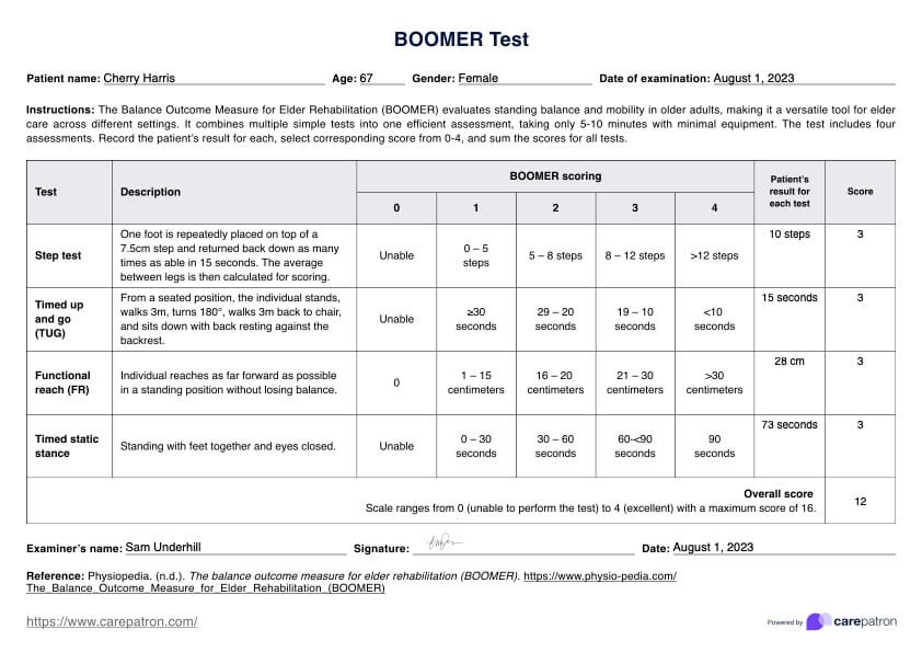 BOOMER Test PDF Example