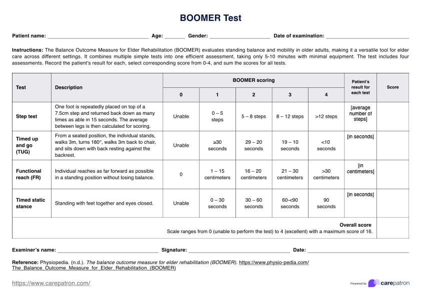 Prueba BOOMER PDF Example