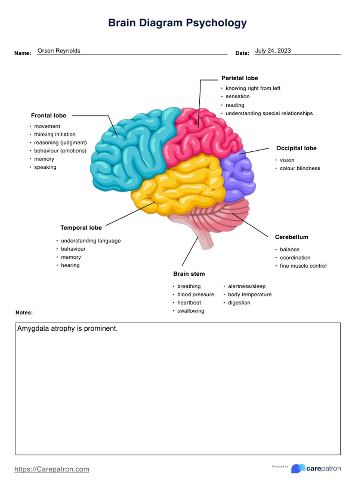 Brain Diagram Psychology PDF Example