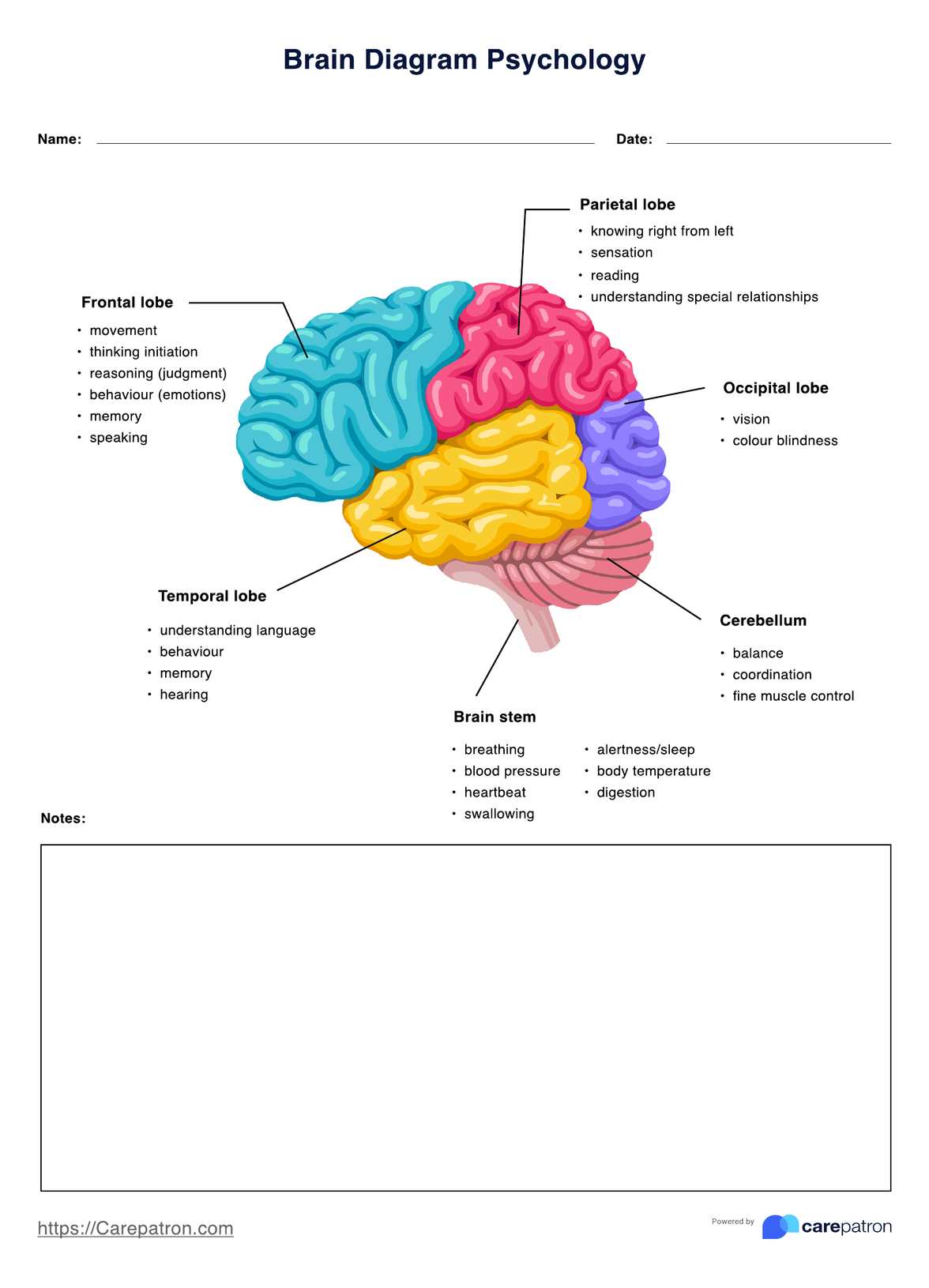Brain Diagram Psychology PDF Example