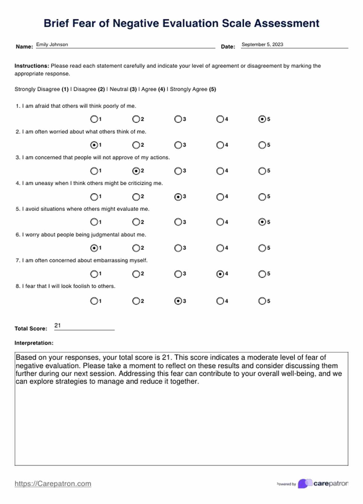 Brief Fear of Negative Evaluation Scale PDF Example