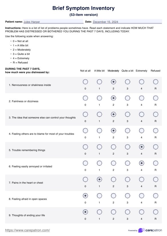 Brief Symptom Inventory PDF Example