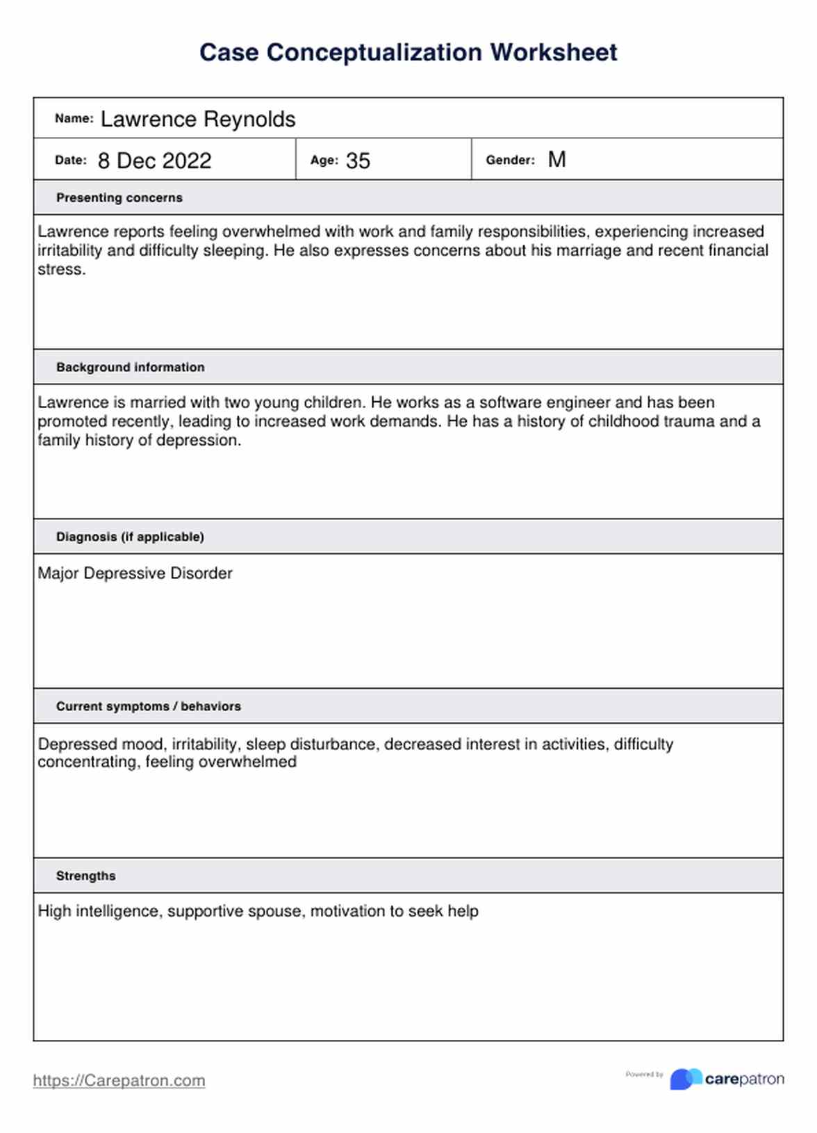 Case Conceptualization Worksheet PDF Example
