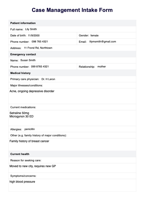 Case Management Intake Form Template PDF Example