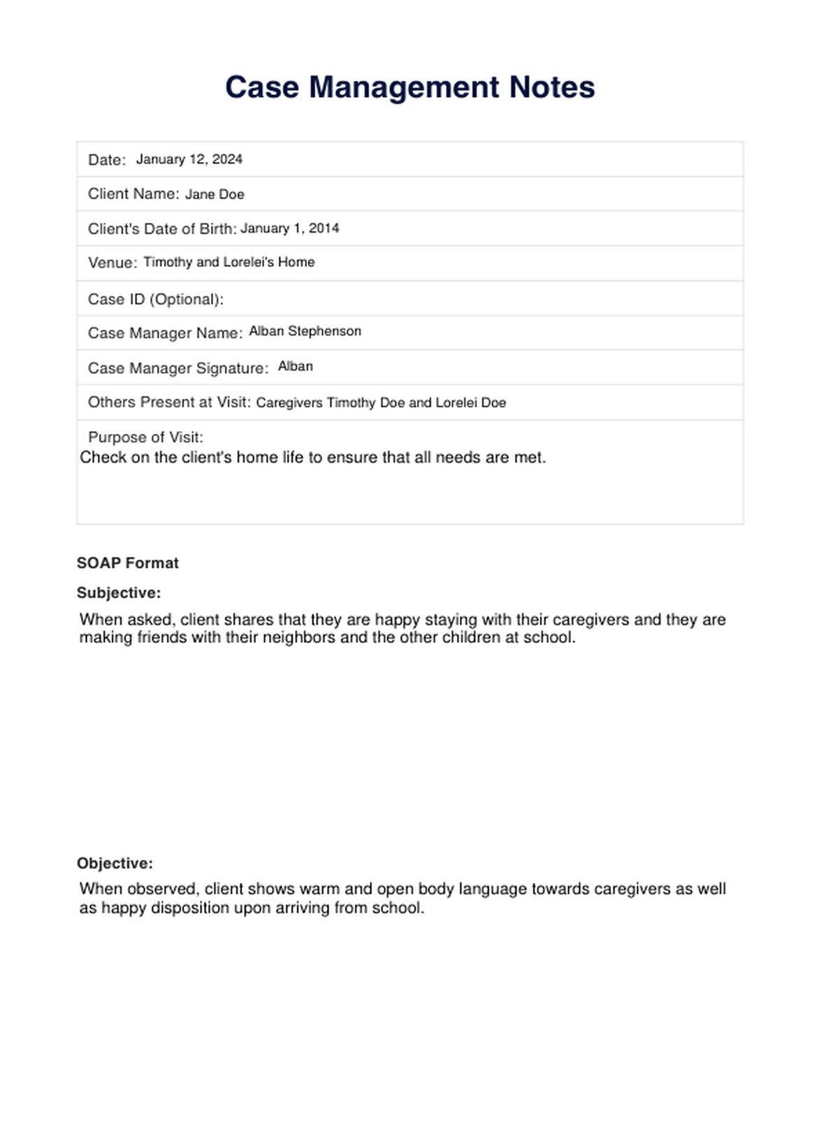 Case Management Notes PDF Example