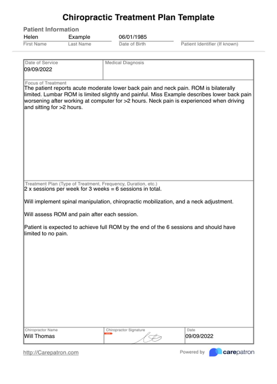Chiropractic Treatment Plan Template PDF Example