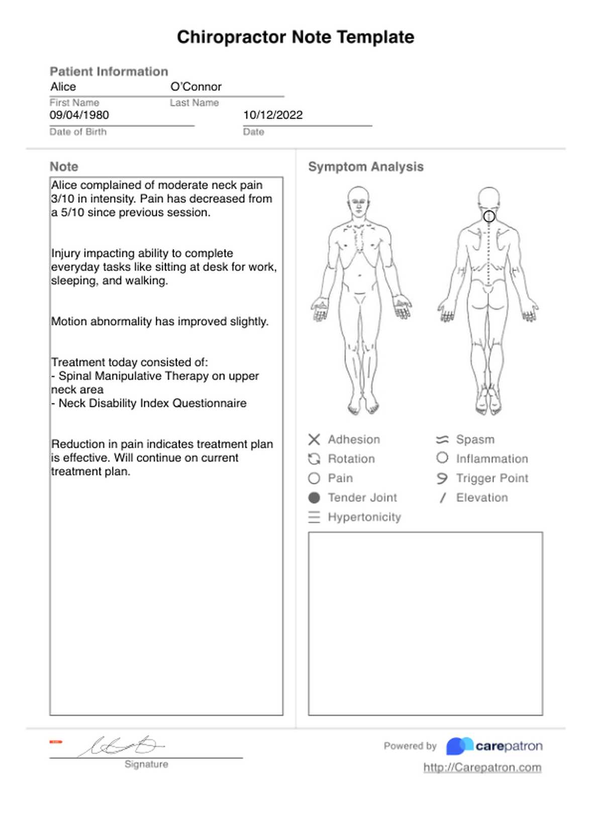 Chiropractor Note Template PDF Example