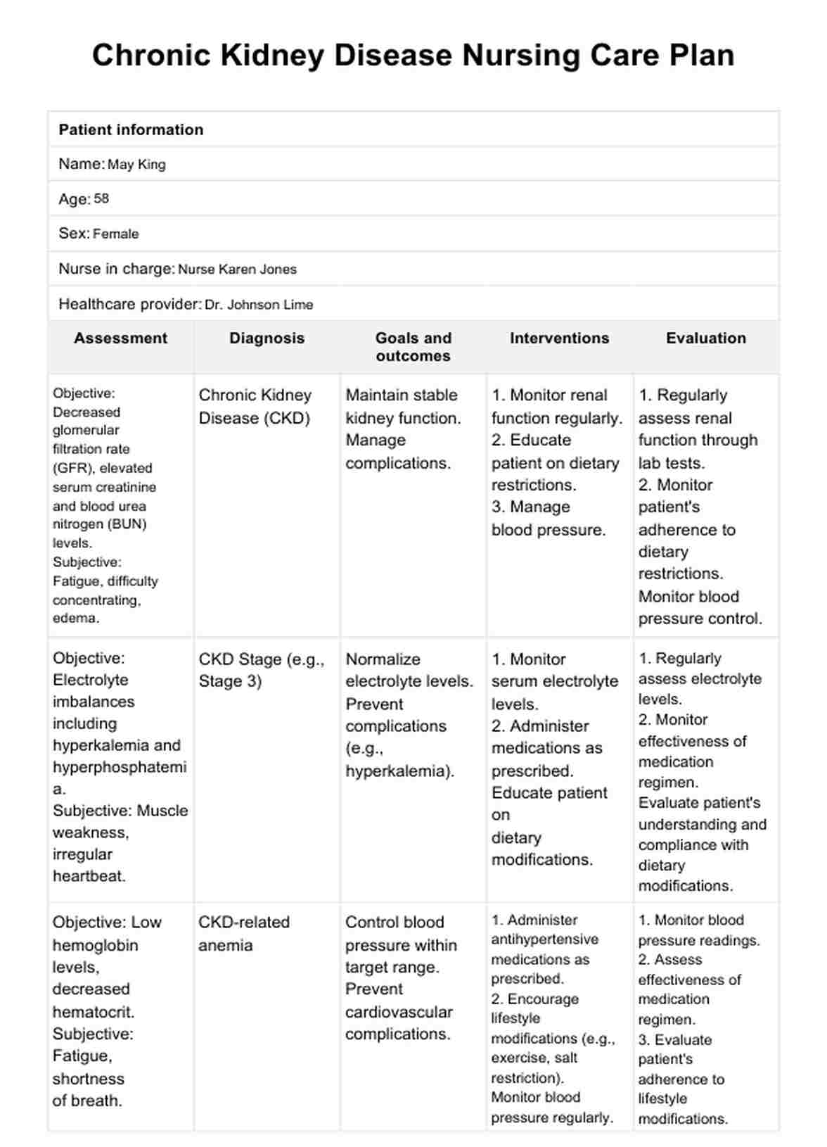 Chronic Kidney Disease Nursing Care Plan PDF Example