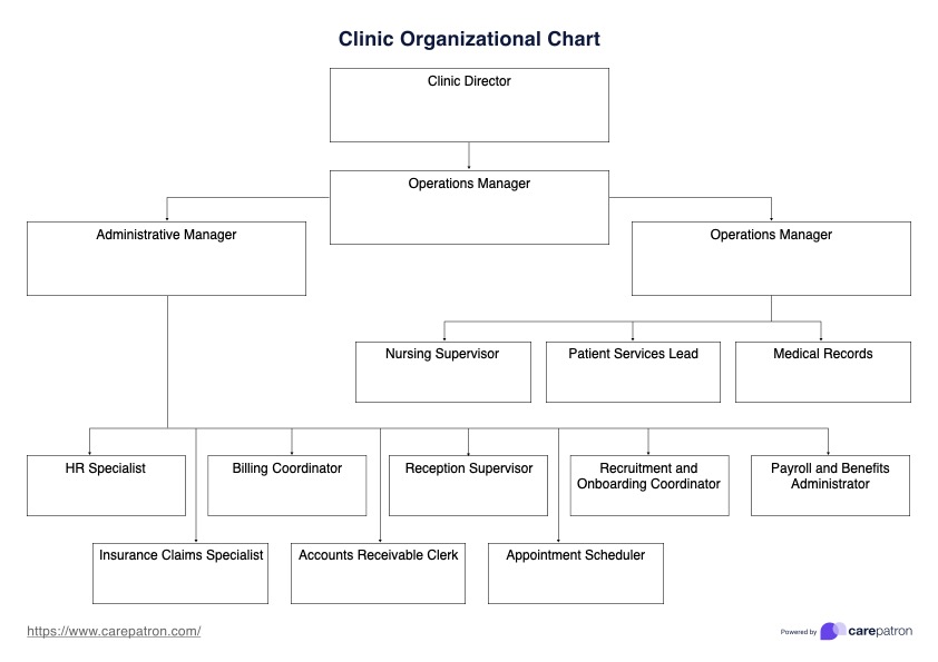 Clinic Organizational Chart Template PDF Example