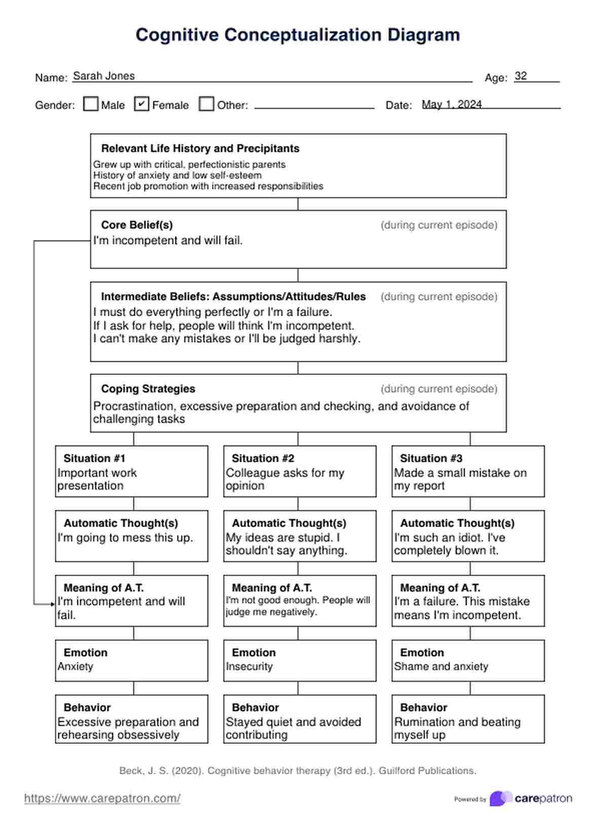Cognitive Conceptualization Diagram PDF Example
