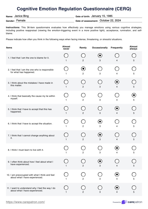 Cognitive Emotion Regulation Questionnaire (CERQ) PDF Example