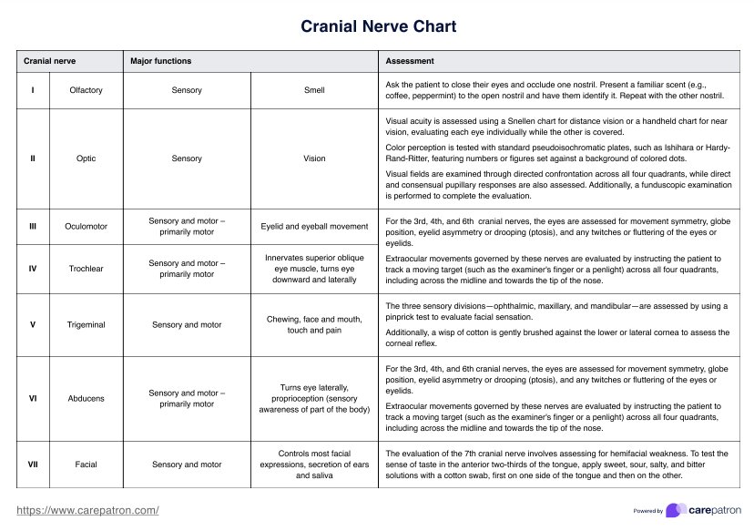 Cranial Nerve Chart PDF Example