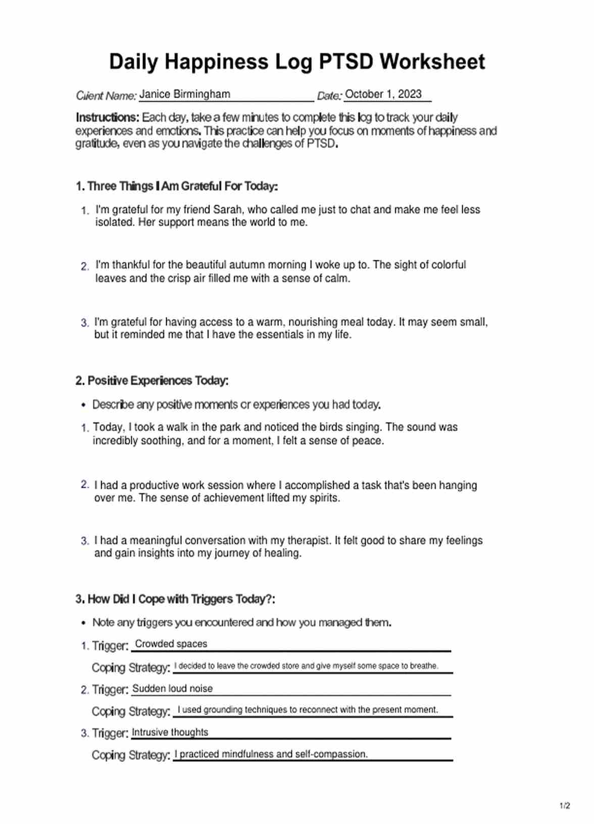 Daily Happiness Log PTSD Worksheet PDF Example