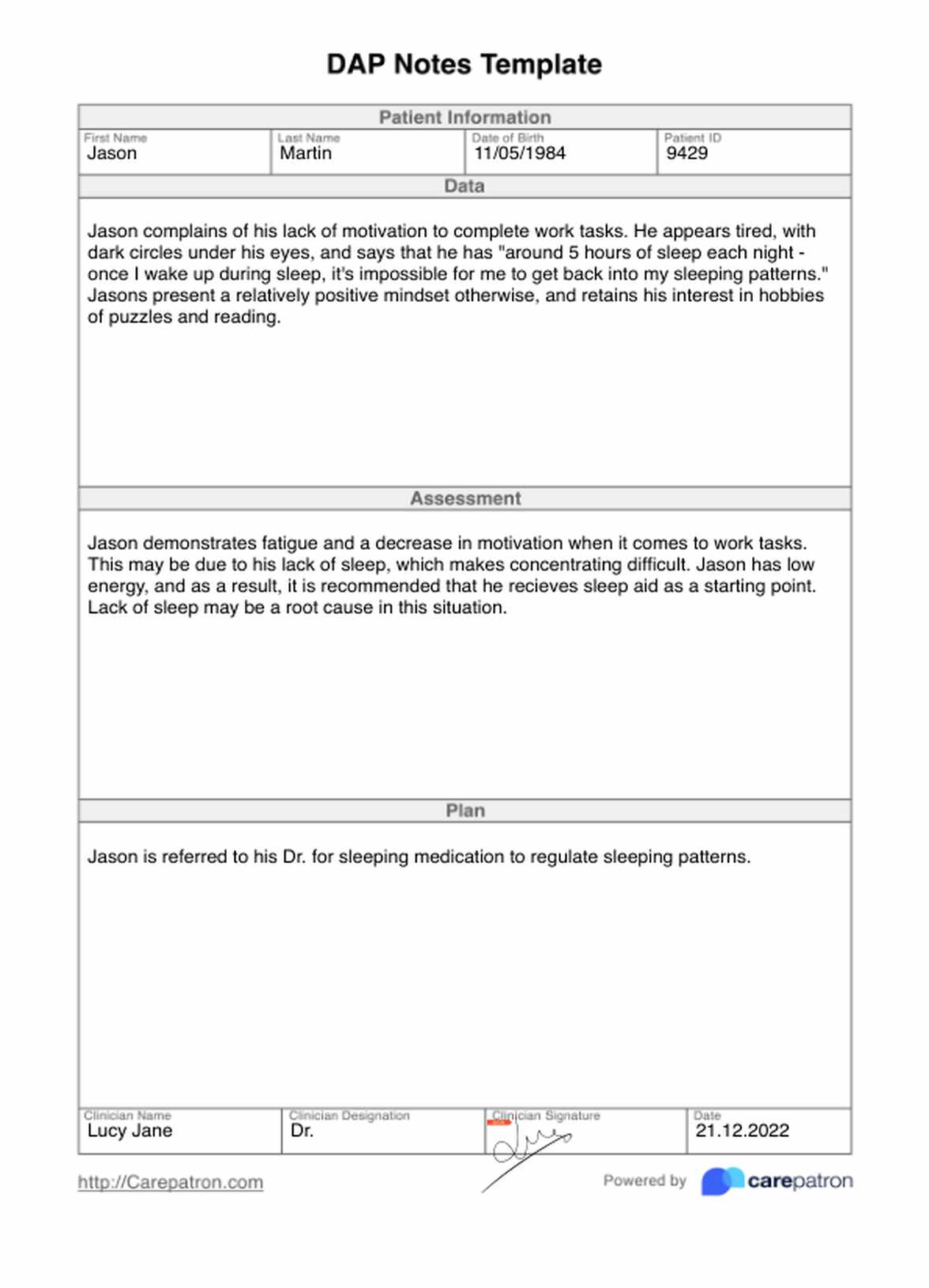 DAP Notes Template PDF Example