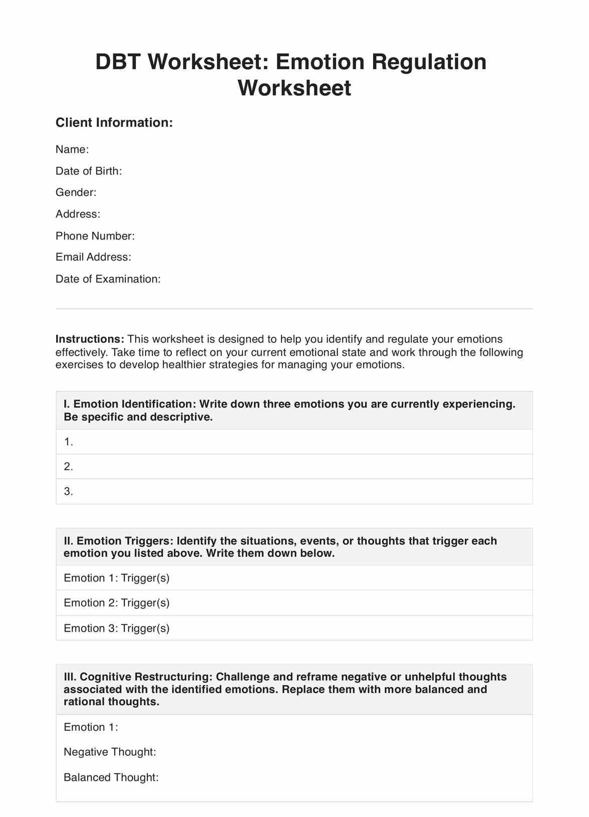 DBT Worksheets PDF Example