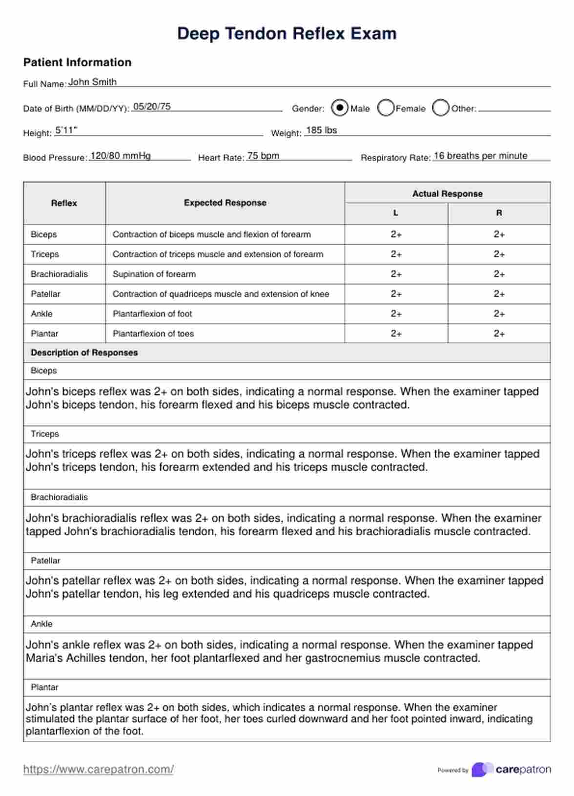 Reflex Exam PDF Example