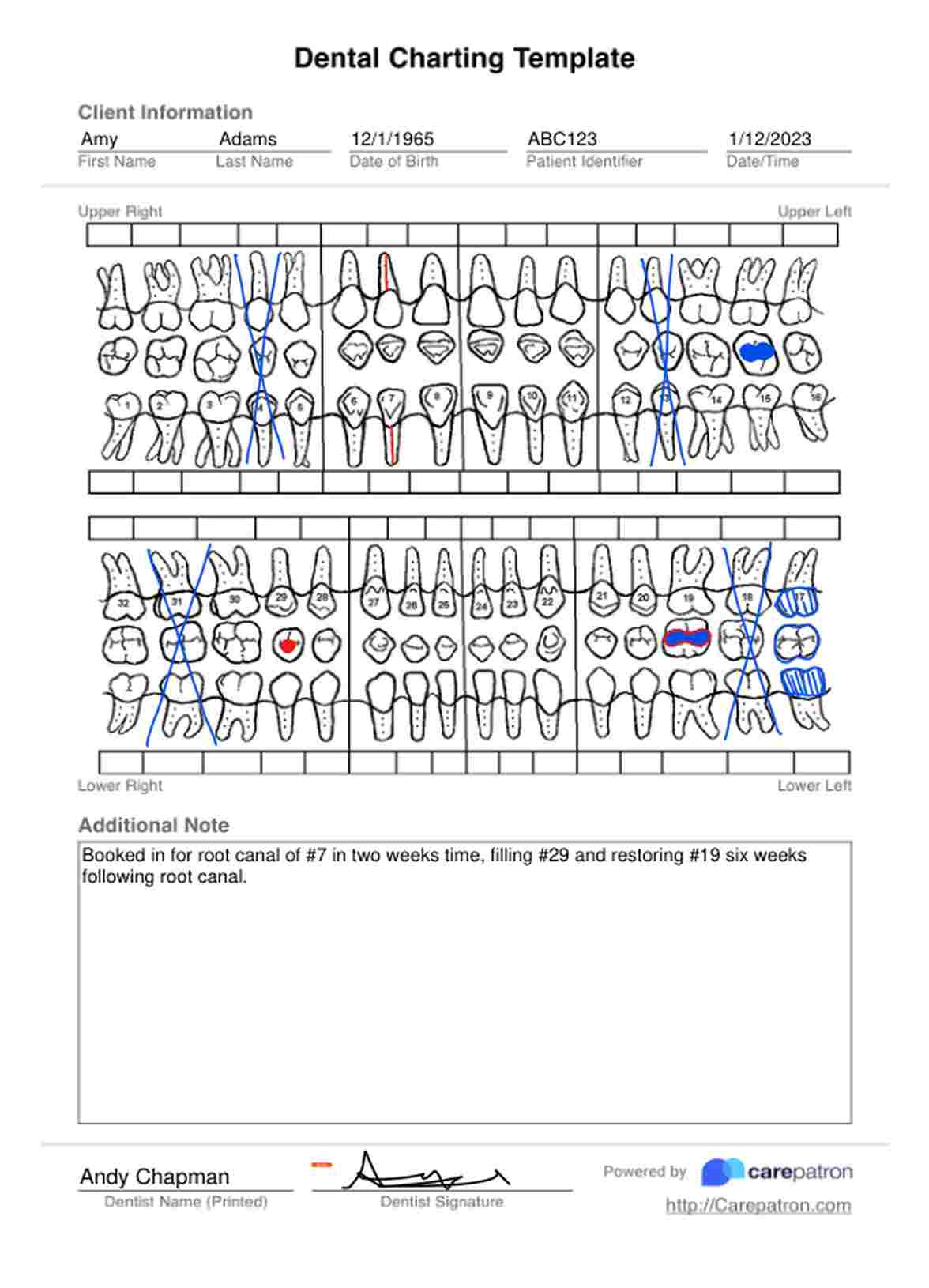 Dental Charting Template PDF Example