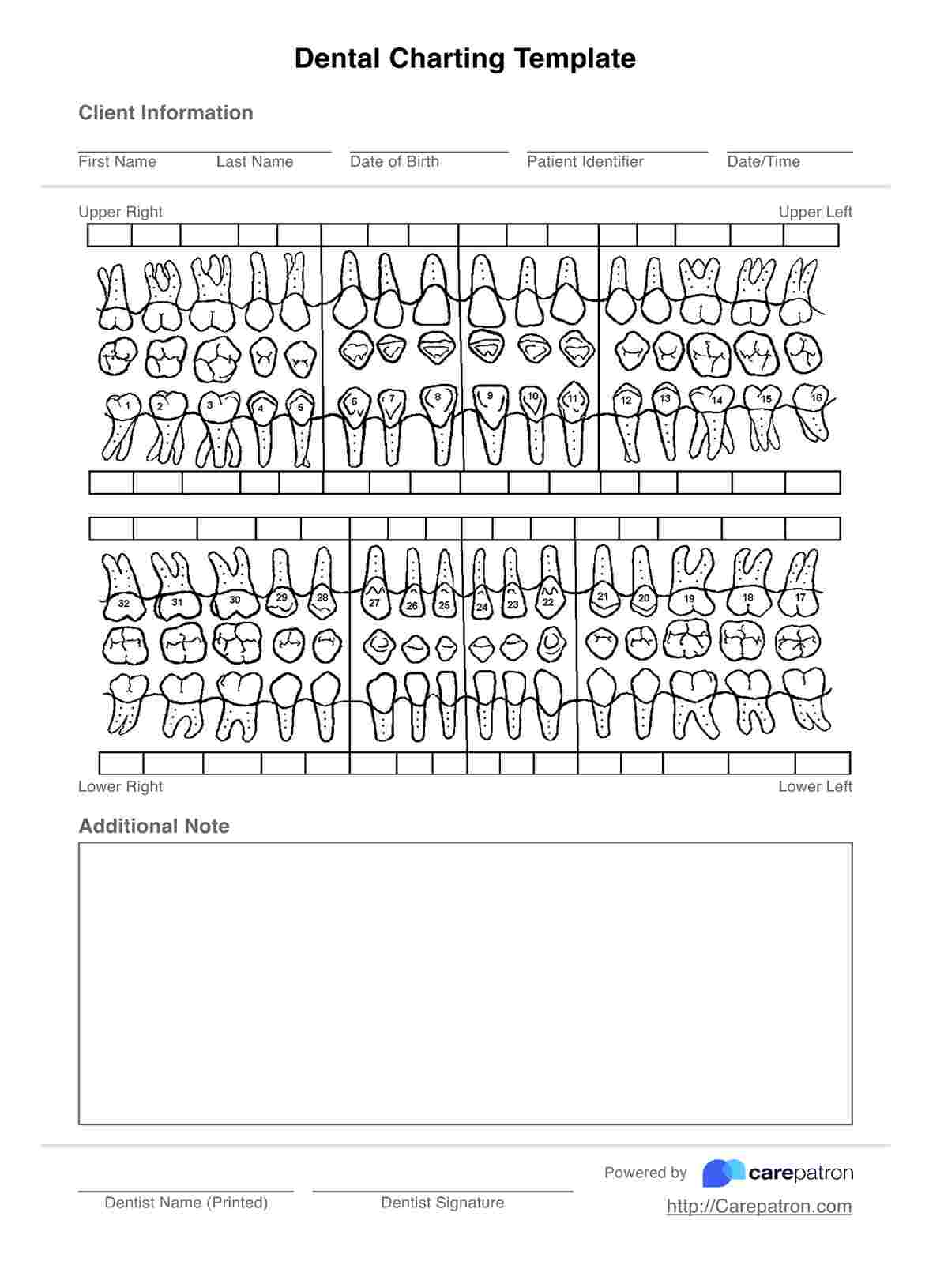 Dental Charting Template PDF Example