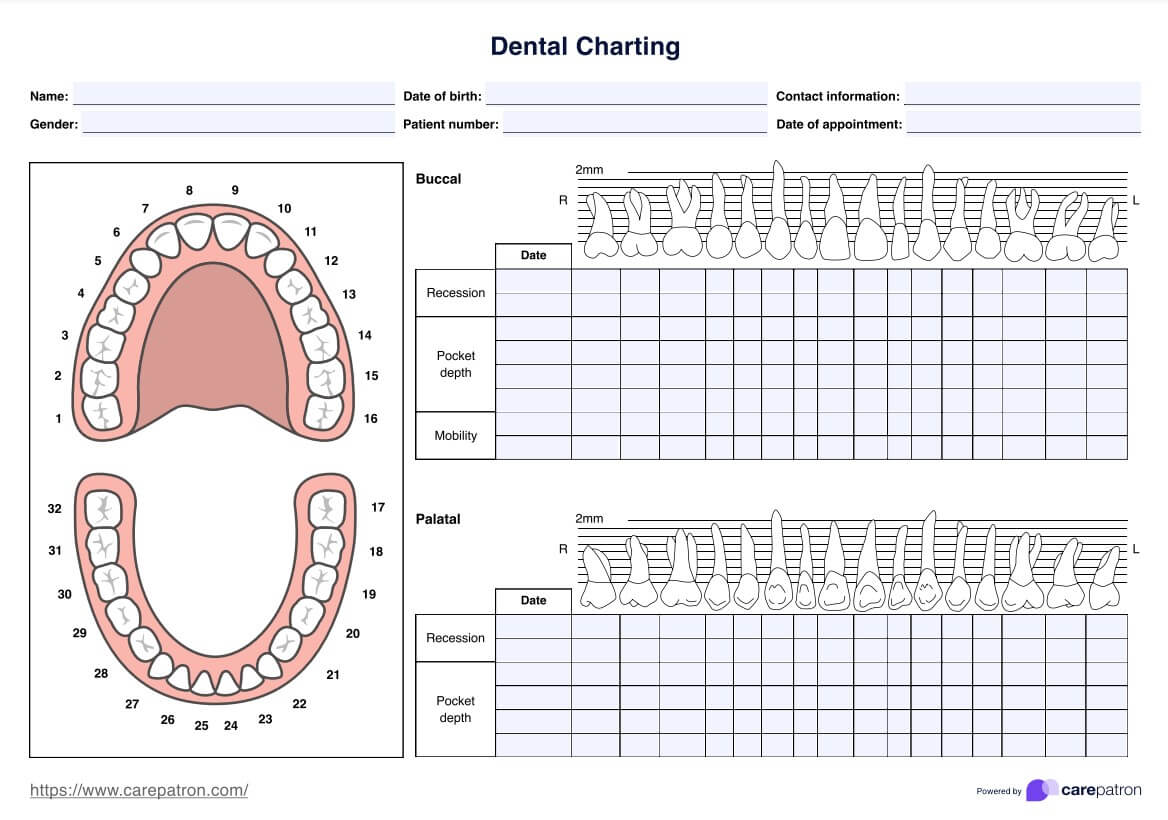 Dental Charting Template PDF Example