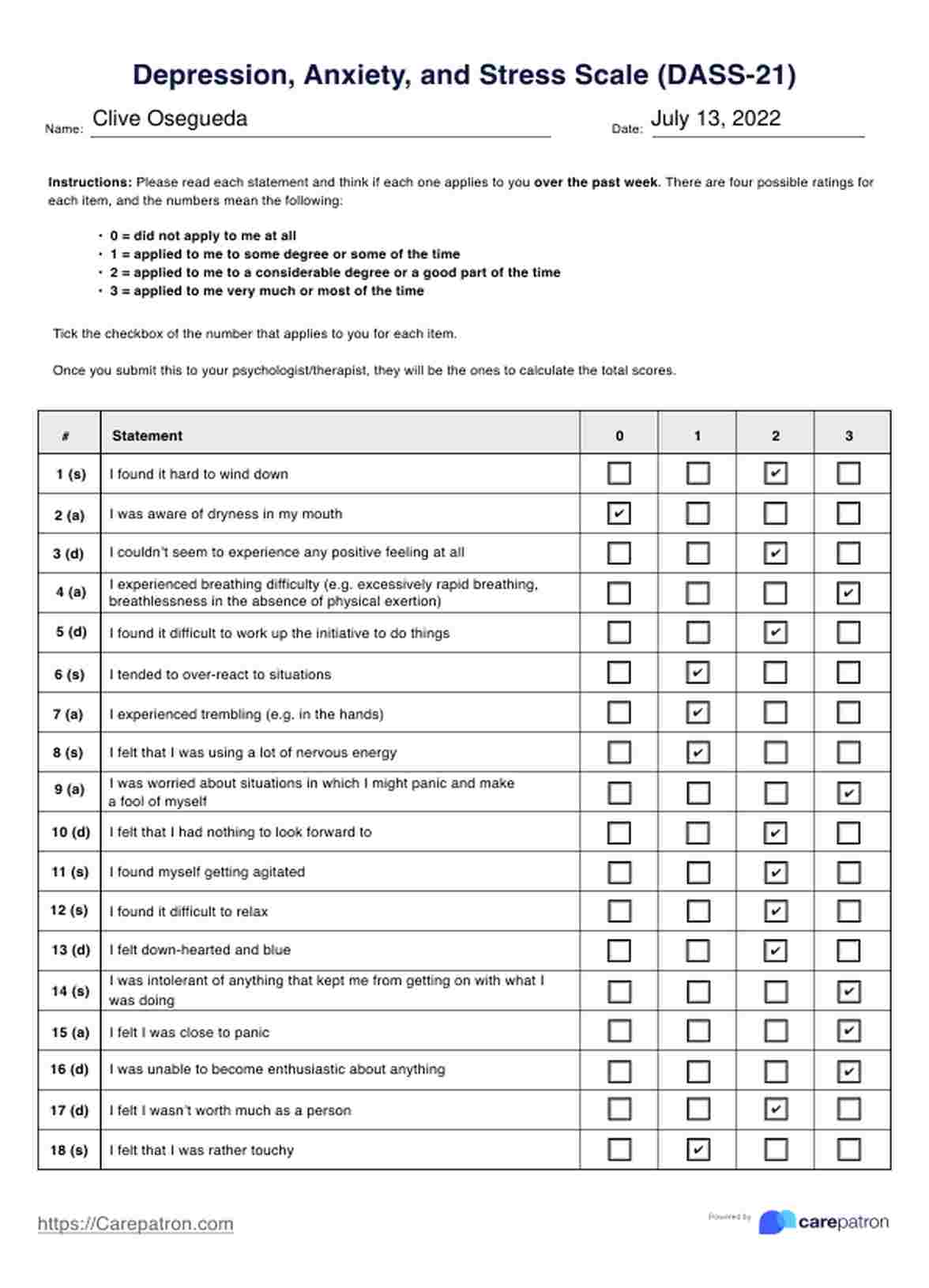 Depression Anxiety and Stress Scale (DASS-21) PDF Example