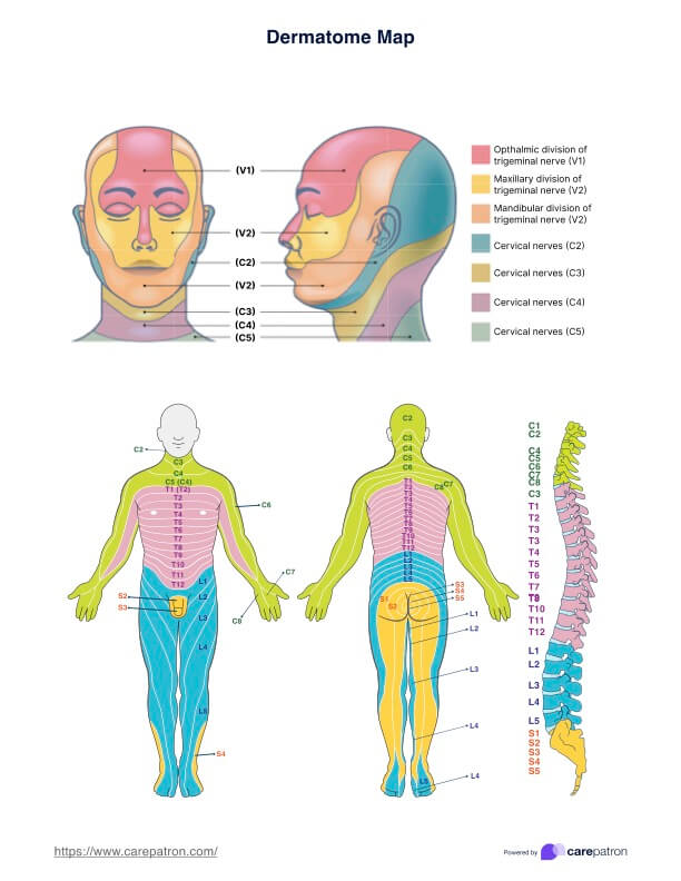 Peta dan rencana Dermatome PDF Example